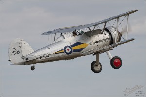 NZ6_2112