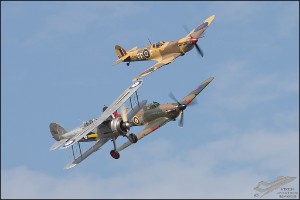 NZ6_2155
