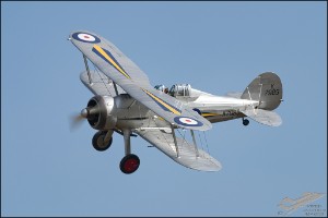NZ6_2171