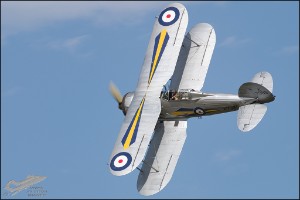 NZ6_2188