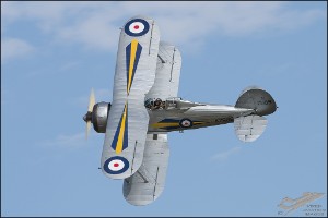 NZ6_2193