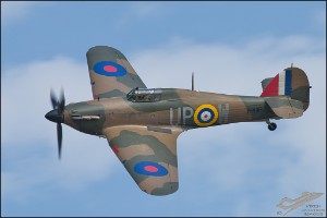 NZ6_2219
