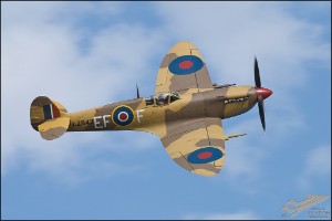 NZ6_2254