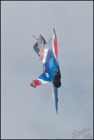 NZ6_2455