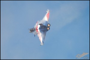 NZ6_2464