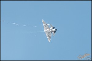 NZ6_2564