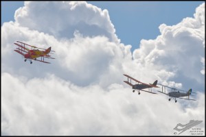 NZ6_2748