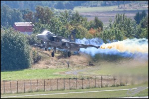 NZ6_2864