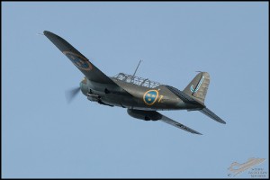 NZ6_3114
