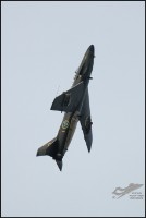 NZ6_3173