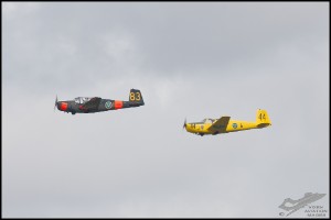 NZ6_3223