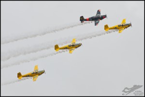 NZ6_3259