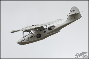 NZ6_3374