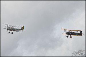 NZ6_3388