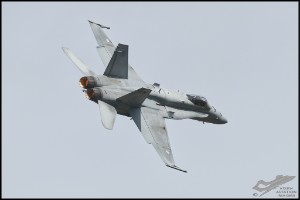 NZ6_3584