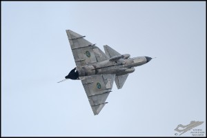 NZ6_3710