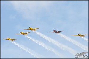 NZ6_3873