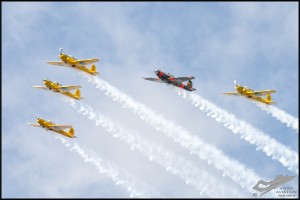 NZ6_3877