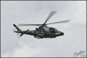 NZ6_4038