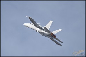 NZ6_4162