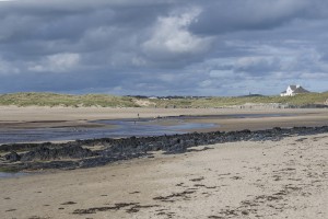 d75_0483