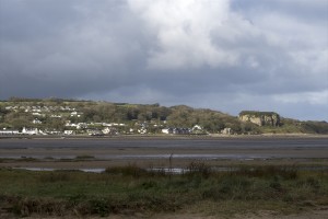 d75_0490