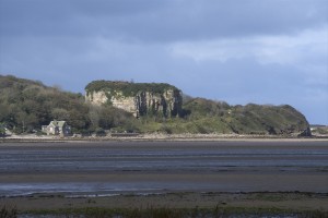 d75_0491