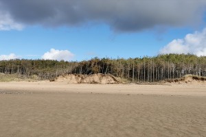 img_20201011_104843