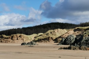 img_20201011_113953