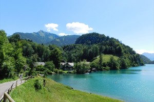 dscn5275