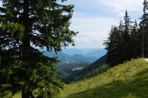 dscn5760