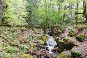 dscn8182