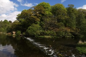 img_20210518_110704