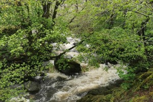 img_20210521_111424