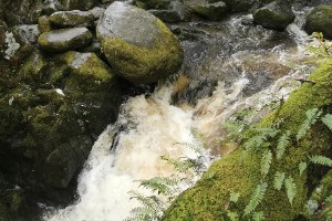 img_20210521_111521