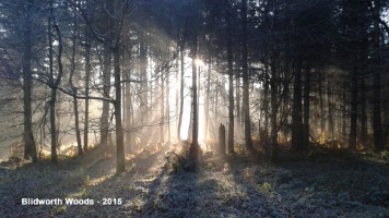 20150104_140800