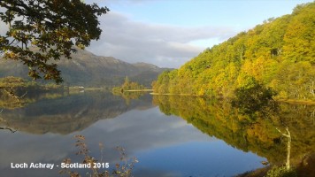 20151020_094539