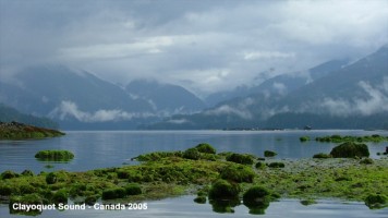 dscf0214