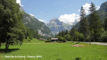 dscn0381