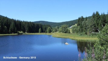 dscn0854