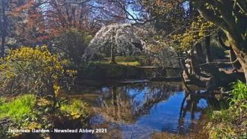 img_20210405_103606