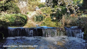 img_20210405_103823