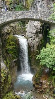 DSC_0071(1)