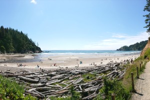 dsc_0003