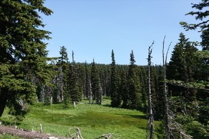 dsc_00161