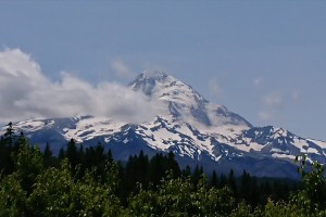 dsc_00271