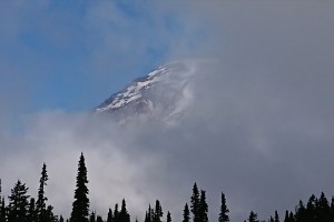 dsc_0045
