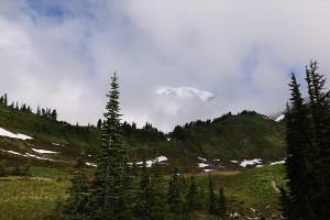 dsc_0051