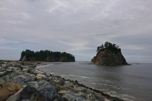 dsc_0126
