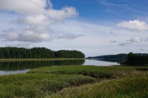 dsc_0163